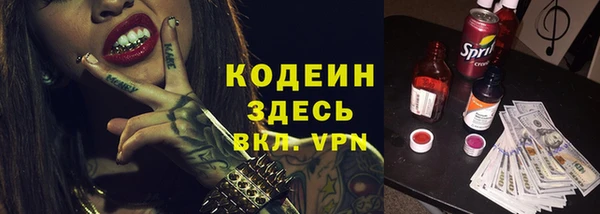 шишки Новозыбков