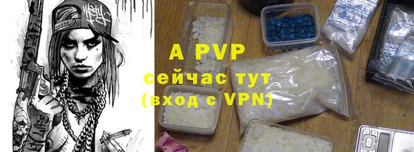 ГАЛЛЮЦИНОГЕННЫЕ ГРИБЫ Наволоки