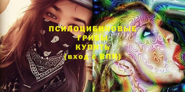 ГАЛЛЮЦИНОГЕННЫЕ ГРИБЫ Наволоки