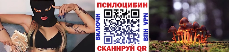 Псилоцибиновые грибы Cubensis  Карабаш 